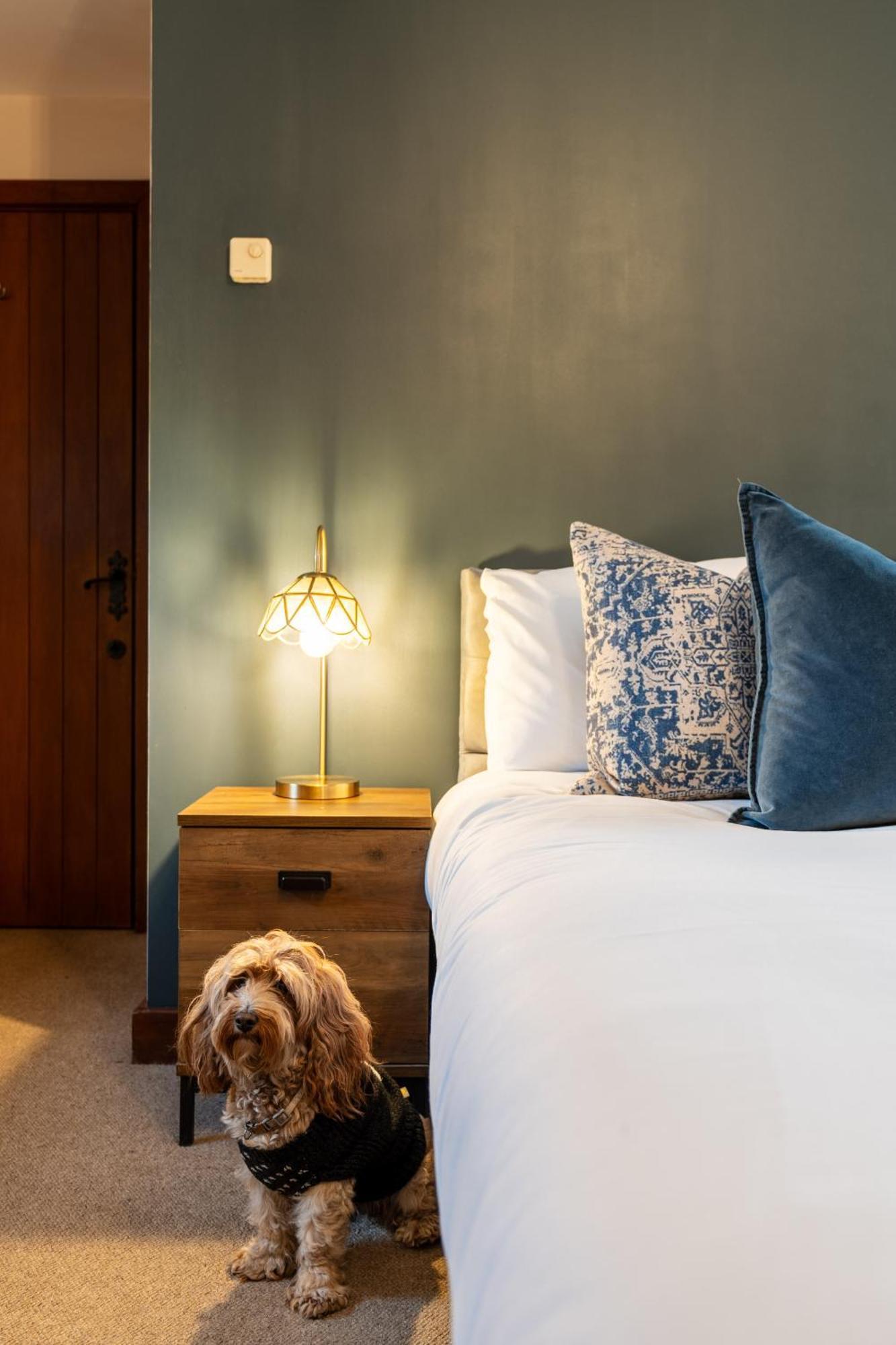 The Bull On The Green Lewes Room photo