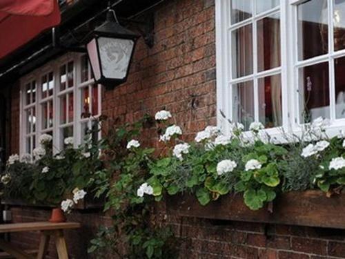 The Bull On The Green Lewes Exterior photo